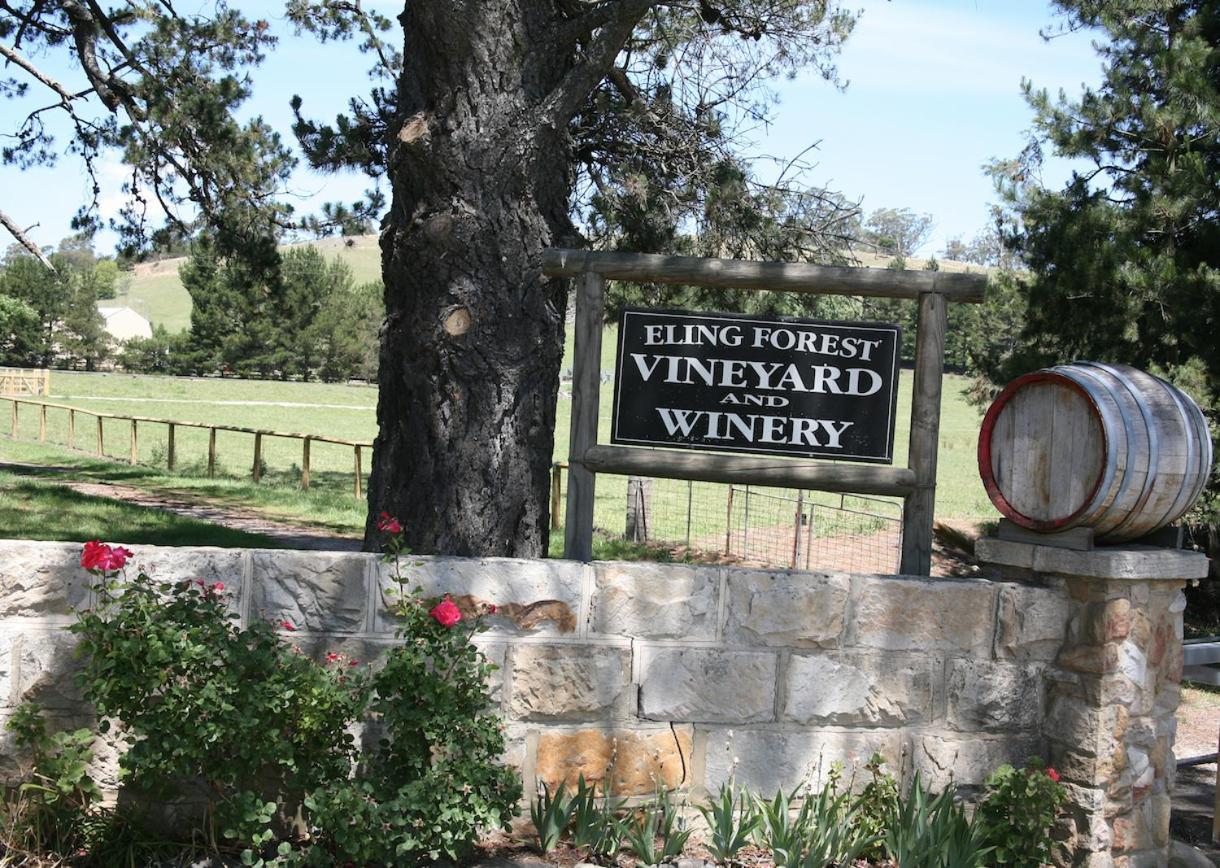 Eling Forest Winery Sutton Forest Zewnętrze zdjęcie